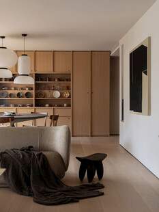 骨骼线胡桃木复古中式风格柜子门