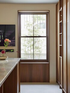 骨骼线胡桃木复古中式风格柜子门