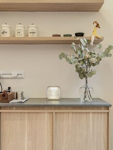 骨骼线胡桃木复古中式风格柜子门