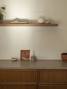 骨骼线胡桃木复古中式风格柜子门