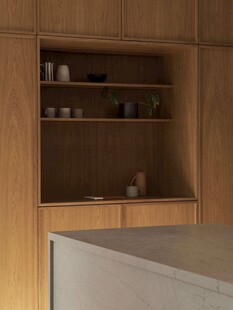 骨骼线胡桃木复古中式风格柜子门