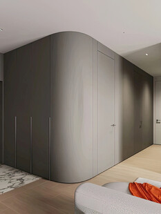 全屋定制弧形转角柜子柜体装修