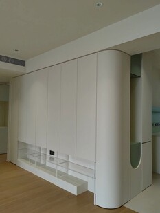 全屋定制弧形转角柜子柜体装修