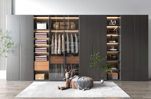 衣帽间卧室柜子新中式简约效果图