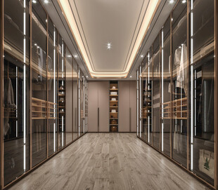 衣帽间卧室柜子新中式简约效果图