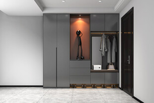 入户大门鞋柜衣柜家玄关装修定制