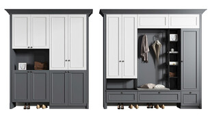 入户大门鞋柜衣柜家玄关装修定制