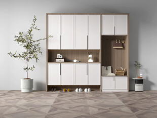 入户大门鞋柜衣柜家玄关装修定制