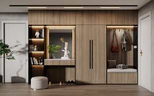 入户大门鞋柜衣柜家玄关装修定制