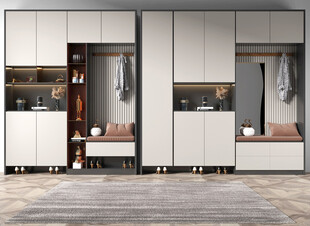 入户大门鞋柜衣柜家玄关装修定制
