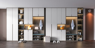 入户大门鞋柜衣柜家玄关装修定制