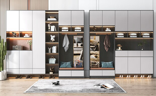 入户大门鞋柜衣柜家玄关装修定制