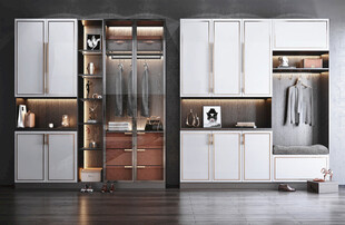 入户大门鞋柜衣柜家玄关装修定制