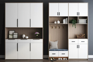 入户大门鞋柜衣柜家玄关装修定制