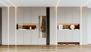 入户大门鞋柜衣柜家玄关装修定制