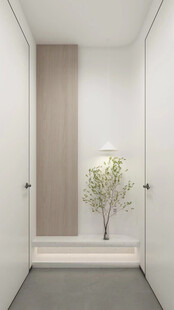 鞋柜玄关入户大门高级感全屋定制