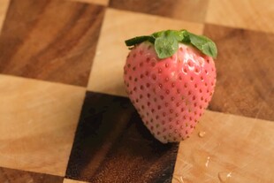 草莓