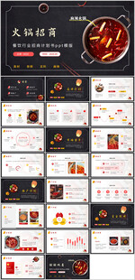 餐饮行业商业融资划书PPT模板