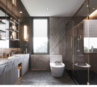 卫生间淋浴室厕所洗手间装修设计