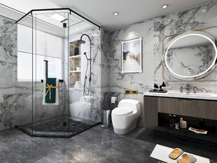 卫生间淋浴室厕所洗手间干湿分离