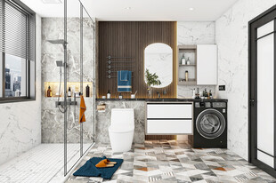 卫生间淋浴室厕所洗手间干湿分离