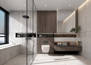 卫生间淋浴室厕所洗手间干湿分离