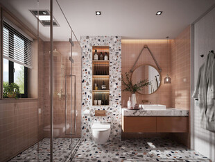 卫生间淋浴室厕所洗手间干湿分离