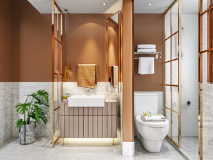 卫生间淋浴室厕所洗手间干湿分离