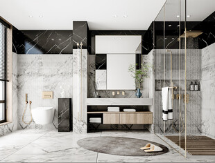 卫生间淋浴室厕所洗手间干湿分离