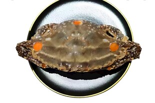红膏蟹