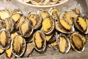 西式自助餐美食鲜鲍鱼