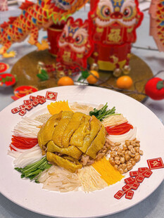  什锦鸡肉大拼盘