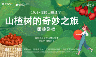 山楂采摘节背景板