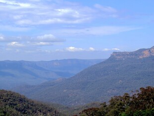 悉尼蓝山自然风景
