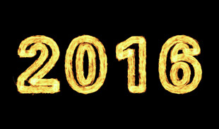2016火焰