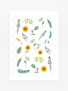 春夏手绘菊花插画