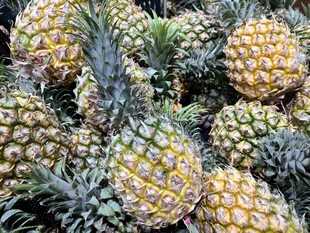 菠萝