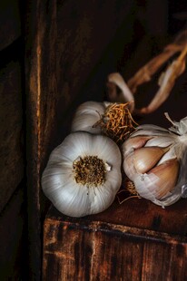 蒜