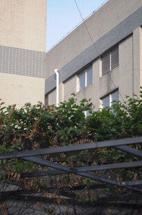 建筑旁的绿植与金属围栏