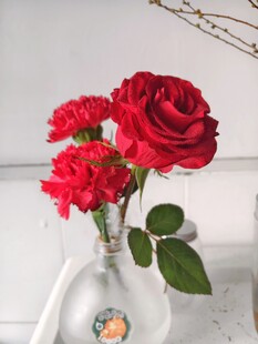 花瓶中的红玫瑰