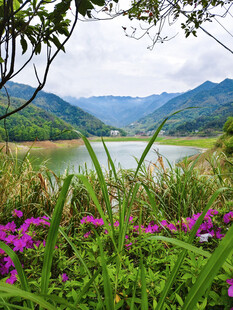 湖畔繁花伴青山美景