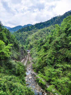 山间溪流穿翠谷