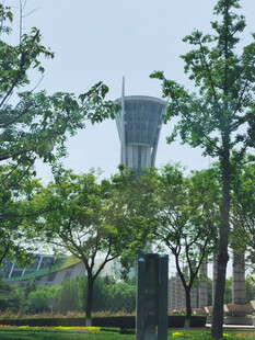 绿树环绕的高塔