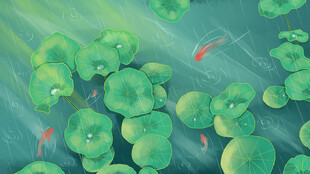 荷叶间的灵动红鱼