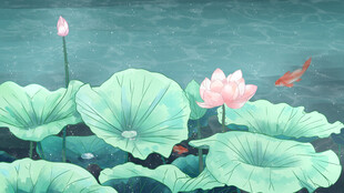 荷塘锦鲤伴荷花绽放