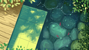 池塘边的静谧水景