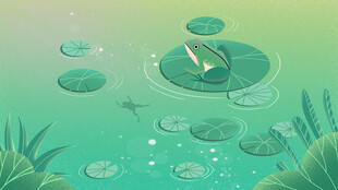 荷叶上的青蛙与水中浮萍