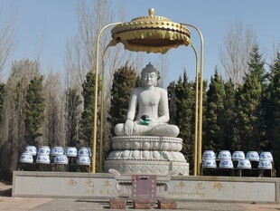 释迦牟尼佛像景观