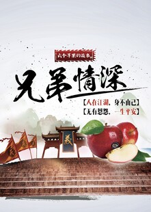 兄弟情深苹果礼盒展示