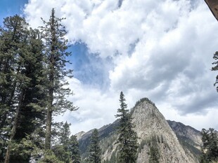 巍峨山峰与葱郁林木